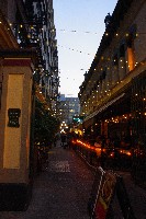 IMGP6523.JPG IMGP6523.JPG