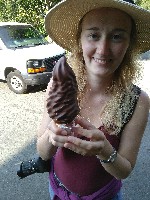 IMG_20180824_162645.jpg IMG_20180824_162645.jpg