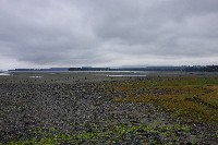 IMGP6553.JPG IMGP6553.JPG