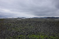 IMGP6554.JPG IMGP6554.JPG