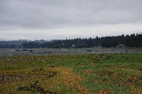 IMGP6555.JPG IMGP6555.JPG