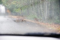 IMGP6556.JPG IMGP6556.JPG