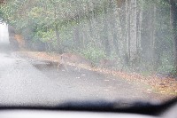 IMGP6557.JPG IMGP6557.JPG