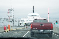 IMGP6561.JPG IMGP6561.JPG