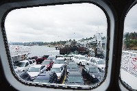 IMGP6565.JPG IMGP6565.JPG