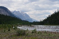 IMGP5337.JPG IMGP5337.JPG