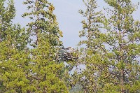 IMGP5426.JPG IMGP5426.JPG