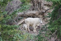 IMGP5455.JPG IMGP5455.JPG