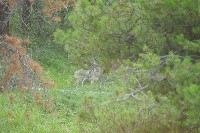 IMGP5463.JPG IMGP5463.JPG