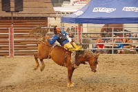 IMGP5733.JPG IMGP5733.JPG