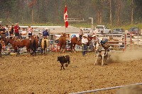 IMGP5746.JPG IMGP5746.JPG