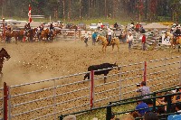 IMGP5764.JPG IMGP5764.JPG