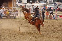 IMGP5858.JPG IMGP5858.JPG