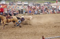 IMGP5900.JPG IMGP5900.JPG