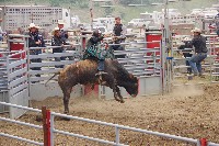 IMGP5924.JPG IMGP5924.JPG