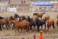 IMGP5947.JPG IMGP5947.JPG