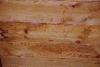 IMGP6010.JPG IMGP6010.JPG