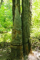 IMGP6094.JPG IMGP6094.JPG