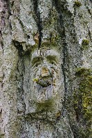 IMGP6106.JPG IMGP6106.JPG